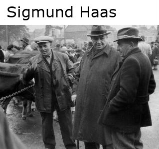 Sigmund Hass Viehhandel 250 Mit Namen